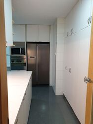 Cairnhill Crest (D9), Condominium #553666591